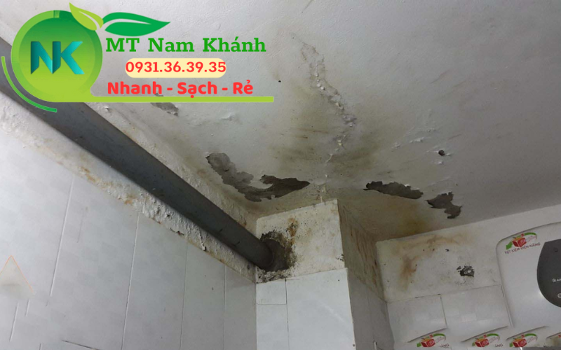 Dịch vụ chống thấm Nam Khánh 12