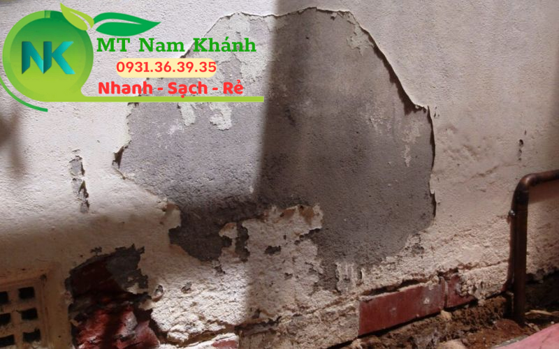 Dịch vụ chống thấm Nam Khánh 15