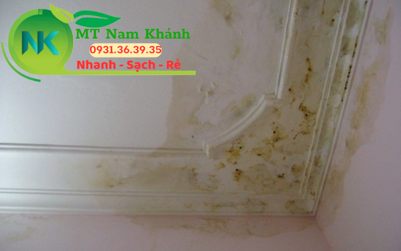 Dịch vụ chống thấm Nam Khánh 18